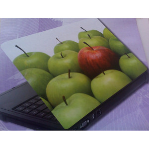 Apple's laptop skin