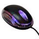 USB Optical scroll mouse