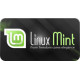 Linux Mint operating System installation