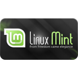 Linux Mint operating System installation